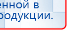 СКЭНАР-1-НТ (исполнение 02.1) Скэнар Про Плюс купить в Искитиме, Аппараты Скэнар купить в Искитиме, Официальный сайт Дэнас kupit-denas.ru